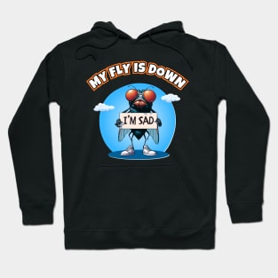 My Fly Is Down Hoodie